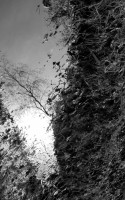 /album/reflections/licht20060216-018-jpeg/