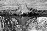 /album/reflections/licht20060218-033-jpeg/