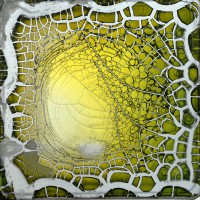 /album/abstract/abstract20140306-031-jpg/