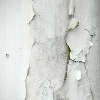 /album/abstract/dsc0049-jpg/