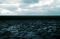 /album/natuur/seai-jpg/