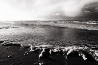 /album/natuur/golfii-jpg/